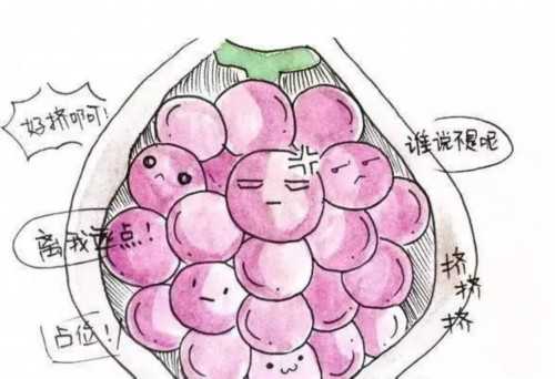 2022上海私立供卵机构排名新鲜出炉,在国内一线城市上海做供卵三代试管婴儿要
