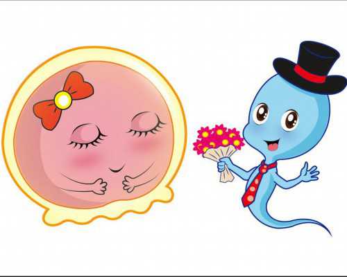 上海专业代孕咨询,湖南做试管婴儿的全部费用大概是多少钱？_上海供卵试管中