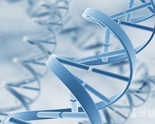 上海借卵子医院,三代试管能选择男女吗，上海助孕咨询