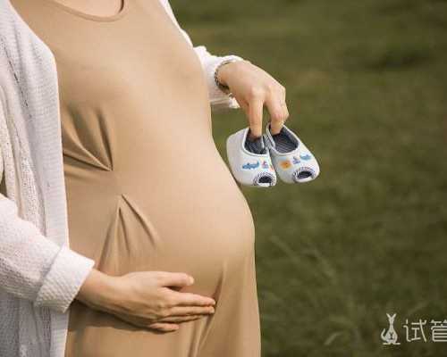 上海苏杭代孕网,上海国妇婴试管婴儿费用多少？2026年试管价格详细