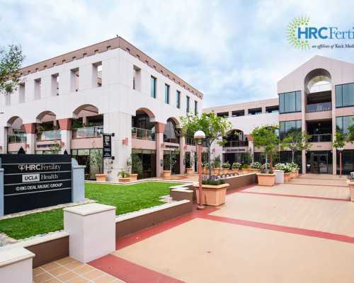 导致不怀孕的原因有哪些（怀孕初期吃什么）