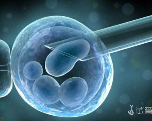 怎样备孕怀女孩_育儿假多少天,中医备孕调理身体有哪些