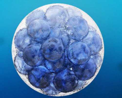 上海高龄供卵三代,上海集爱医院三代试管可以生男女吗？附详细成功率