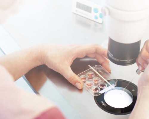 上海有偿助孕网站,肝功能异常和空腹血糖高，影响供卵代孕婴儿成功率吗？-上