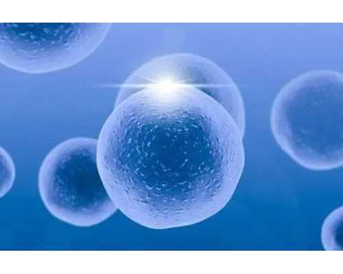 上海怎么找借腹生子中介,上海供卵试管价格多少钱,【上海**基地，孕育奇迹_河