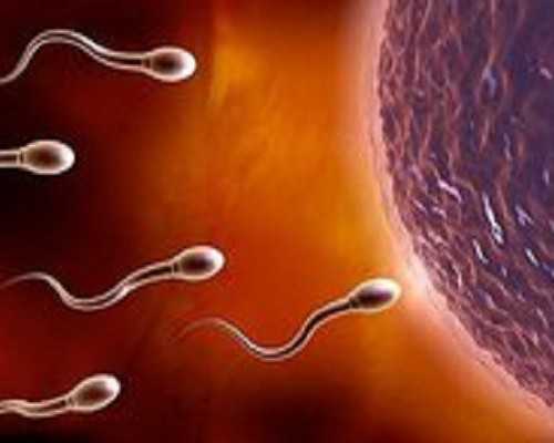 育儿心得幼儿园大班_怀孕的小医生,试管婴儿每个过程大概需要多长时间？「备