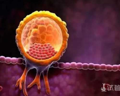 上海代孕哪里好,2026
上海试管助孕生男女孩包成功价格明细