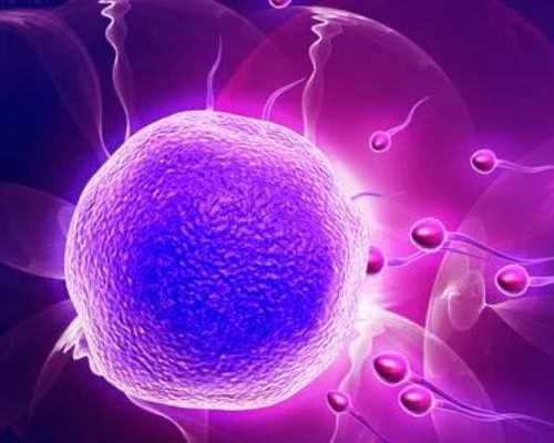 上海代怀孕价格低,40岁做试管成功率有多大 上海不需要结婚证的试管医院