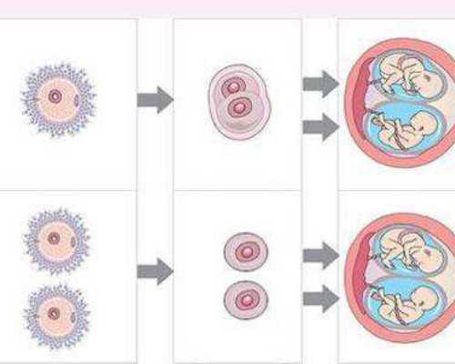 育儿教育_怀孕医生说孩子小,邢台看不孕不育去哪家公立三甲医院比较好？