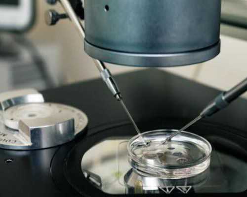 上海试管代怀预约,北京私立供卵机构排名，附供卵试管费用一览！-宝卫健康