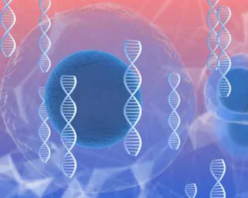 上海瑞金医院|上海哪家医院可以做三代试管避免色盲基因遗传！上海瑞金医院