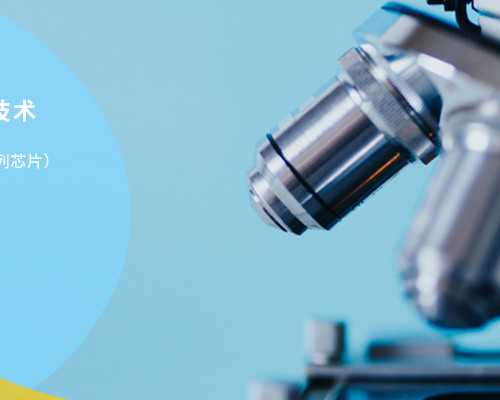 上海红房子做试管多少钱 上海红房子试管费用明细表一览