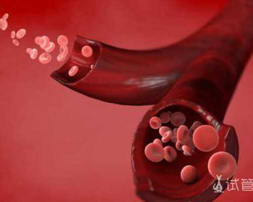 备孕女性需要戒烟_怀孕多久能人流手术,2026国家已禁止小孩打麻风麻疹疫苗了吗