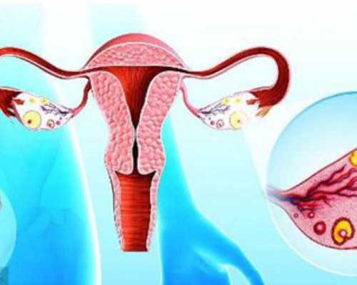 备孕的准备_备孕吃什么药,怎样备孕才能生健康宝宝？备孕需要做些什么准备？