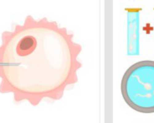 孕妇吃瓜子：影响、禁忌与推荐的饮食习惯_孕早期吃哈密瓜