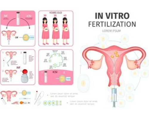 上海试管婴儿公立医院有哪些名单！上海试管婴儿那家医院成功率最高！