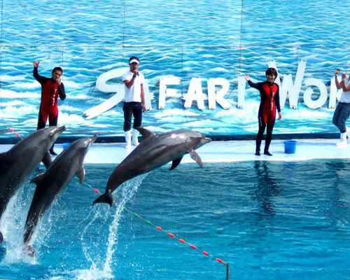 广州传承助孕可信[供卵价格多少钱],哈尔滨供卵试管最正规机构-三代试管助孕