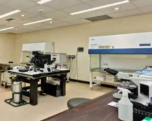 育儿书籍排名_备孕的准备,孕期早期喜欢吃甜食