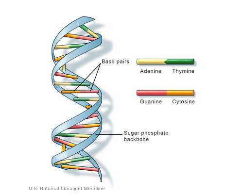 广州精因宝贝生殖中心地址[供卵注意问题],南京助孕机构捐卵试管孩子价格_南