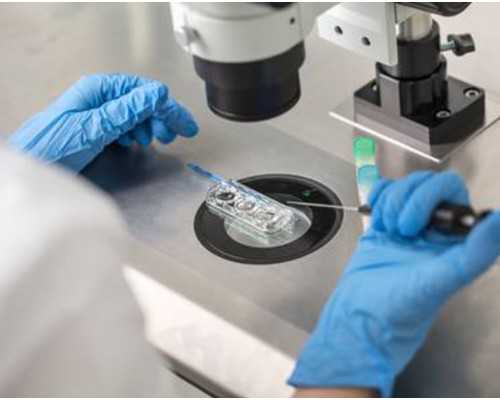 aa69助孕联系电话[供卵需要多少钱],格鲁吉亚供卵助孕孩子补偿？去格鲁吉亚做