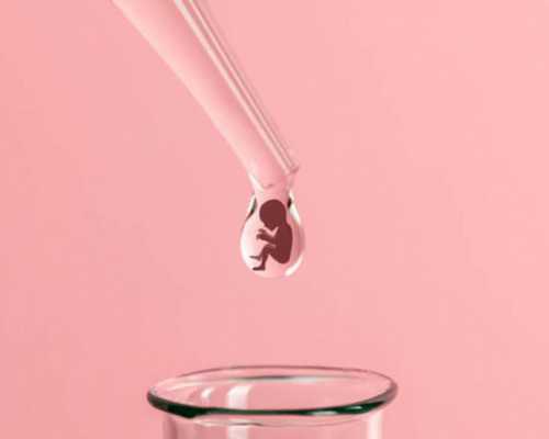 备孕食谱大全_备孕吃什么容易怀孕,日本试管婴儿助孕微刺激方案适合高龄的人