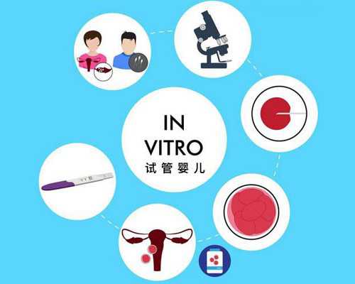 备孕阶段是否可以饮用糯米酒？