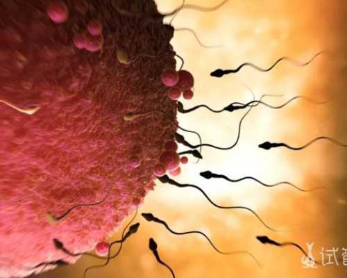 上海正规代孕套餐,做泰国试管婴儿需要哪些证件？_上海供卵试管生子多少钱