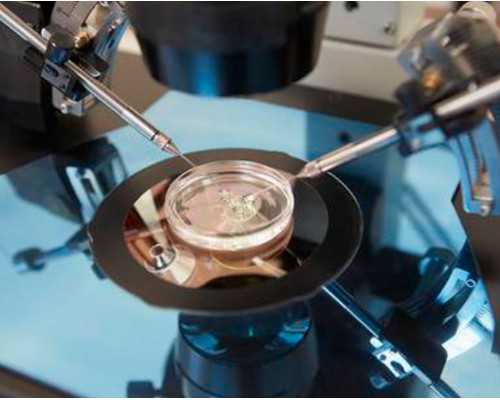 育儿教育心得_怎样备孕才能生男孩,一般治不孕不育多少钱治不孕不育大概花多