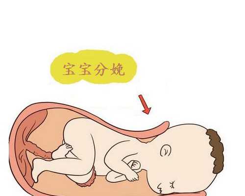 人流手术怀孕多久做_备孕期间发烧怎么办,唇裂引产后多久备孕