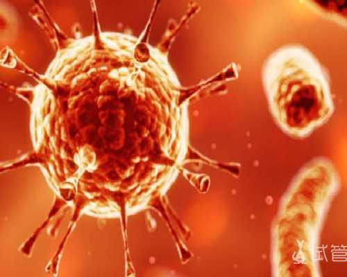 上海代生借卵子,上海供卵医院官网,上海集爱供卵代孕可以选择性别吗_带你揭开