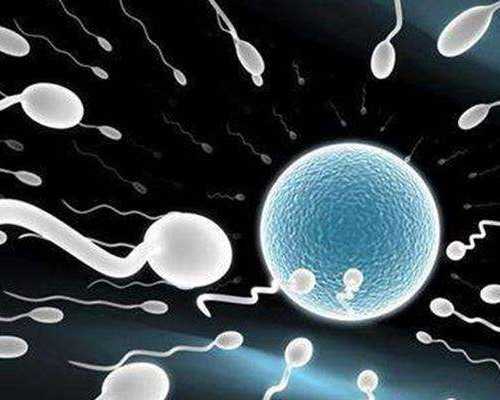 上海医院代生男孩,上海试管婴儿全记录之定移植时间啦