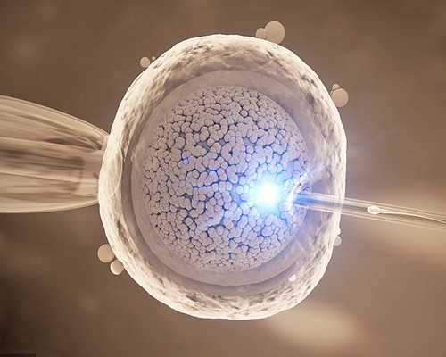 上海去哪找代孕公司,求助！上海九院做第二代试管婴儿胚胎移植成功率怎么样