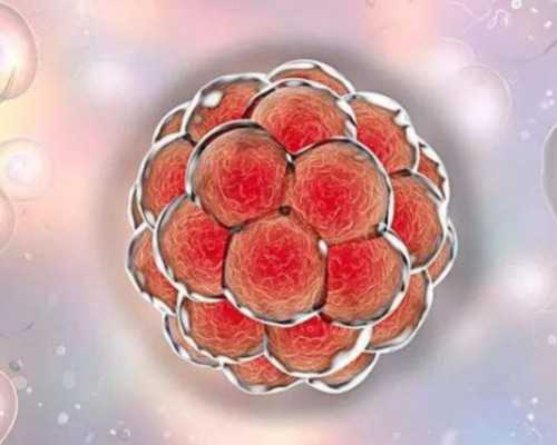 上海借卵代怀价格,上海试管婴儿医院排名？附试管婴儿机构名单？