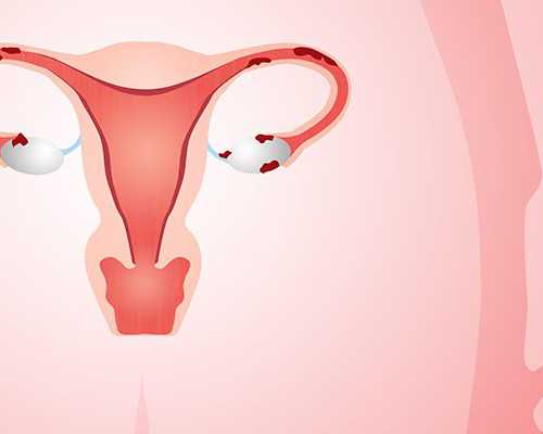 上海试管代怀专家,泰国试管婴儿的利弊有哪些？-上海供卵试管生子多少钱-上海