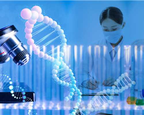 上海代生的价格,上海第三代试管选性别多少钱,吃什么蔬菜可以助孕