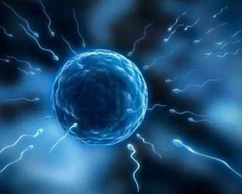 上海供卵包出生&上海借卵生子机构,供卵代孕婴儿—胚胎移植后怎样更容易着床