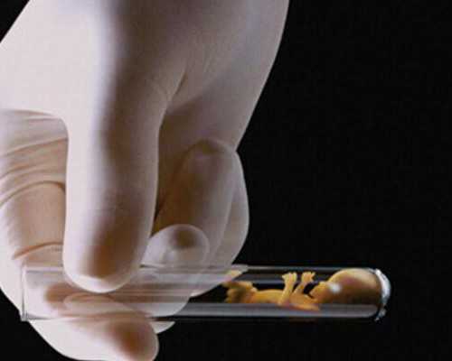 上海有代孕医院吗,香港医院性别鉴定预约_需要注意的都在这！_上海供卵试管生