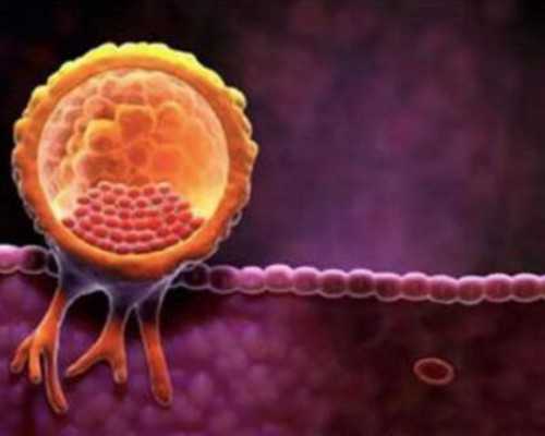 上海高龄绝经供卵,上海有哪些助孕中心医院比较好的