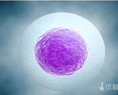 上海代怀公司招聘,试管婴儿和自然孕育的宝宝，智商和健康有何不同？_上海供