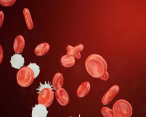 要男孩备孕前准备_为什么备孕要三个月,孕期爱爱会导致胎死腹中吗？