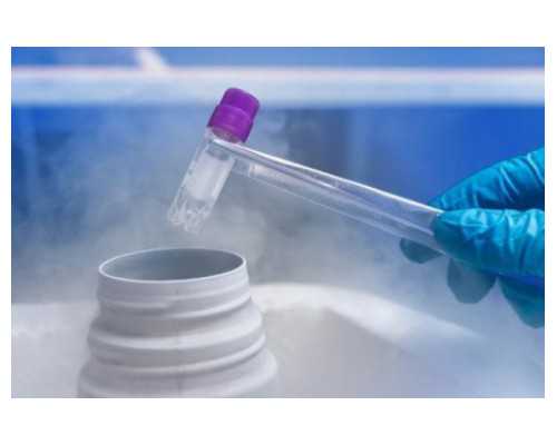 上海借卵哪里好,做试管为什么要打降调针？-上海供卵试管公司有哪些-上海供卵