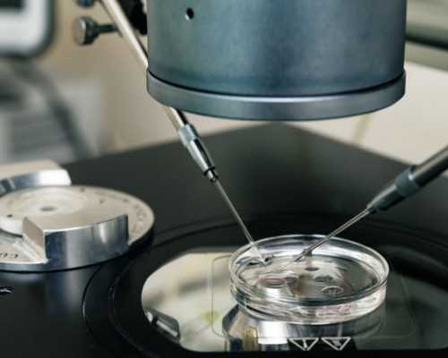 上海医院有供卵吗,上海试管选性别技术资料「棒女郎有助孕效果吗」