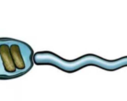 上海正规供卵的,上海仁济做试管婴儿成功率如何？医院可靠吗？