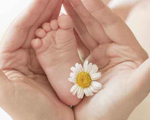 上海做供精,做供卵代孕婴儿医保能报销吗-上海供卵供卵代孕公司有哪些_在上海