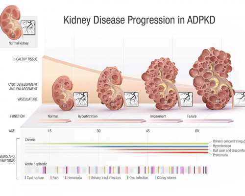 上海代怀试管生子,上海试管婴儿三次多少钱啊，2026助孕费用明细一览