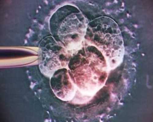 上海做代怀过程,上海供卵代孕婴儿私人医院《活跃度高的备孕》-可以供卵的上