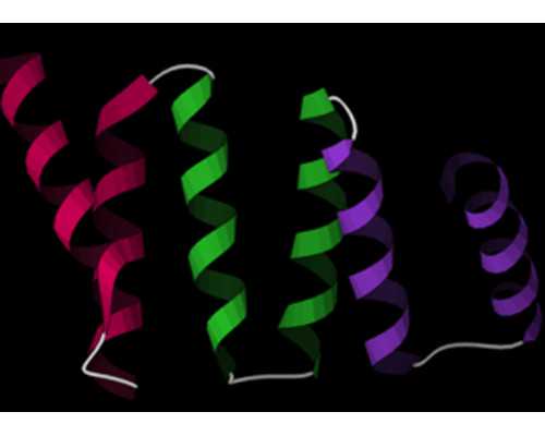 上海代孕套餐公司,上海抽脂手术费用综合指南：市场行情、价格咨询、预算制