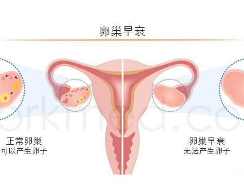 发现怀孕多久做b超_备孕多久能怀上宝宝,42岁备孕查出卵巢功能衰退应该如何好