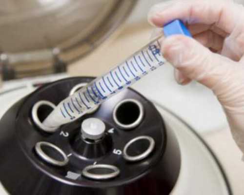 重庆的生育津贴是多少？生育津贴多久能到？