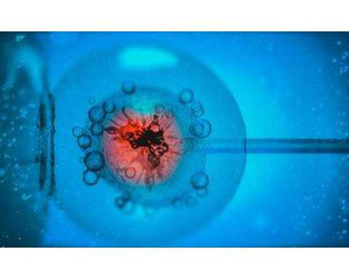 上海代孕混血宝宝,试管婴儿是在管子里长大的小孩吗？-上海正规供卵机构有哪